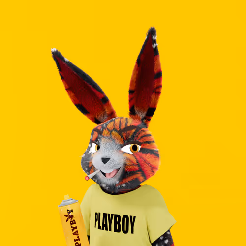 Playboyrabbitars