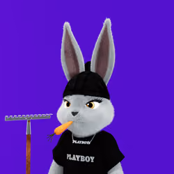 Rabbitar #11384