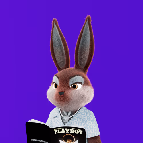 Playboyrabbitars