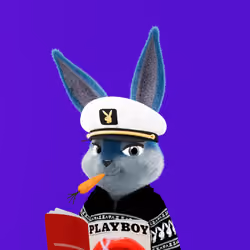 Rabbitar #6178