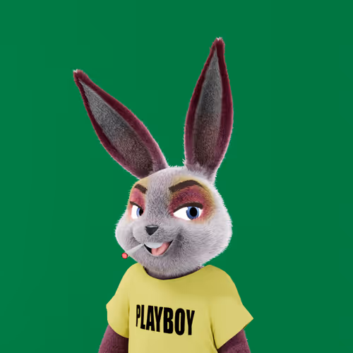 Playboyrabbitars