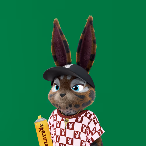 Playboyrabbitars