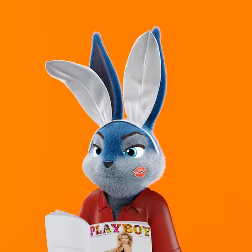 Playboyrabbitars