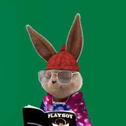 Rabbitar #721