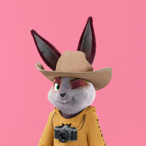 Playboyrabbitars