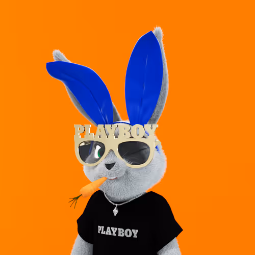 Playboyrabbitars