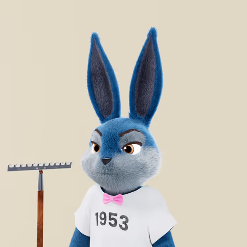 Playboyrabbitars