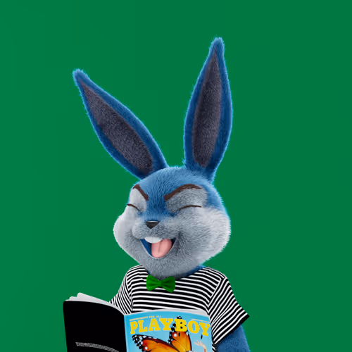 Playboyrabbitars
