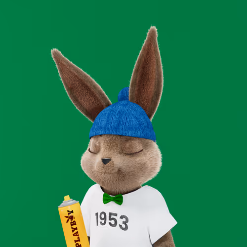 Playboyrabbitars