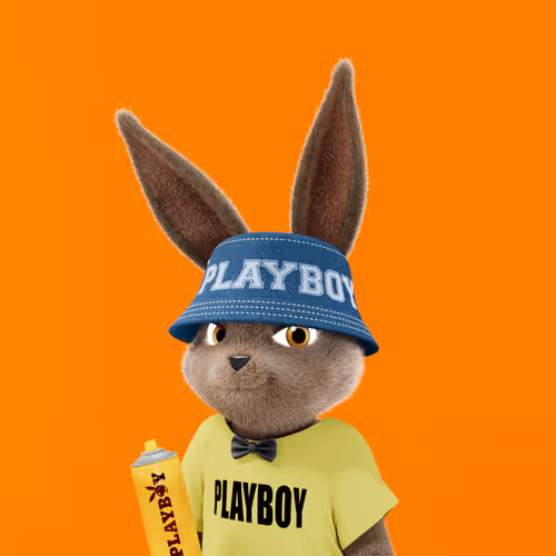 Playboyrabbitars