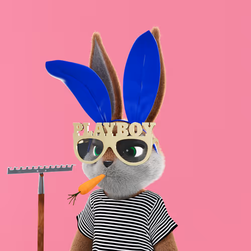 Playboyrabbitars