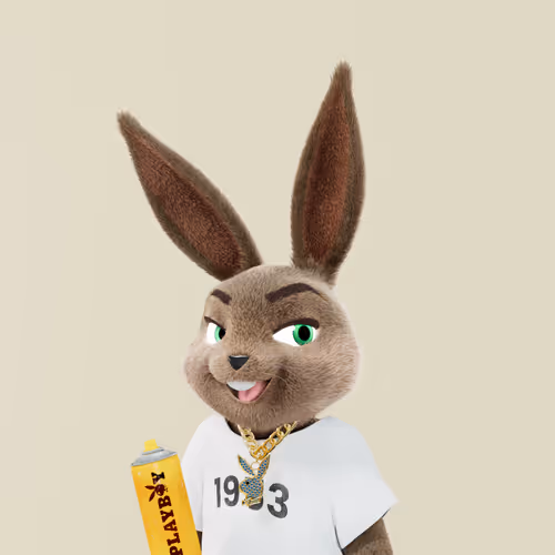 Playboyrabbitars