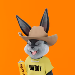 Rabbitar #11646