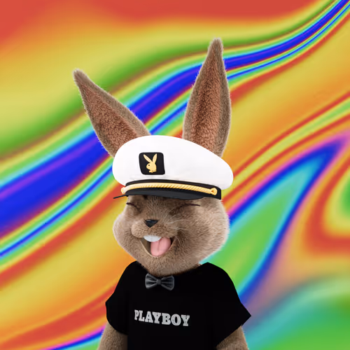 Playboyrabbitars