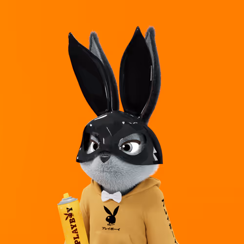 Playboyrabbitars