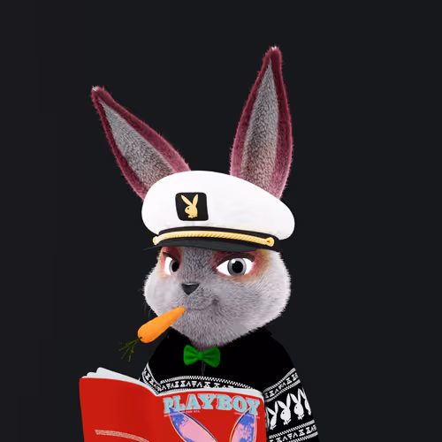 Playboyrabbitars