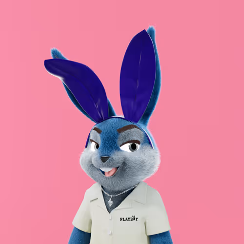 Playboyrabbitars
