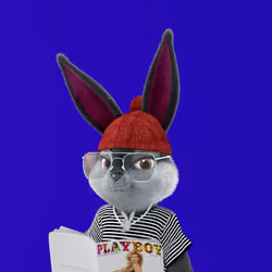 Rabbitar #7966