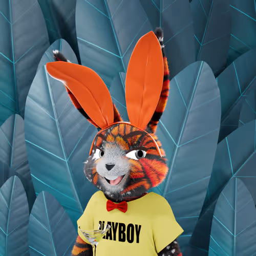 Playboyrabbitars