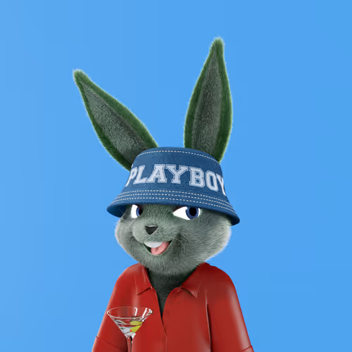 Playboyrabbitars
