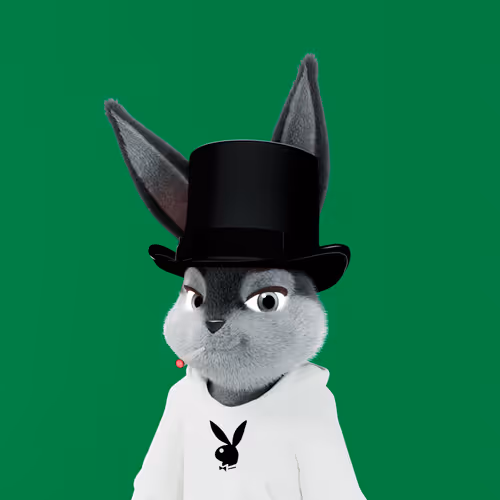 Playboyrabbitars