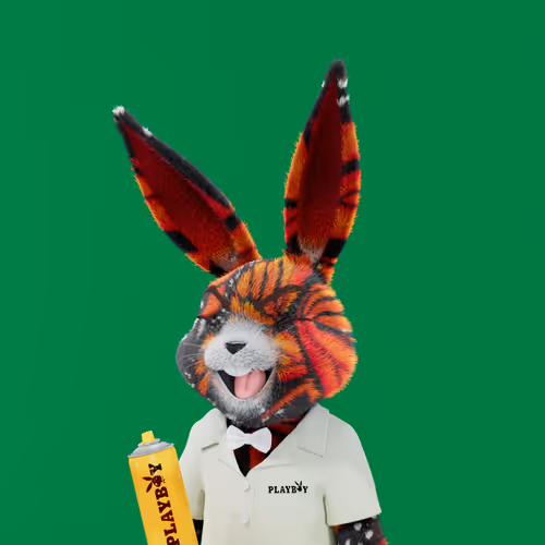 Playboyrabbitars