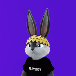 Rabbitar #5634