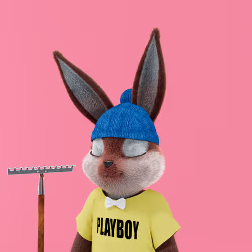 Playboyrabbitars
