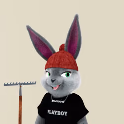 Rabbitar #6639