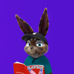 Rabbitar #1348