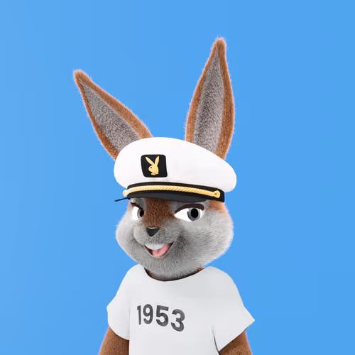Playboyrabbitars