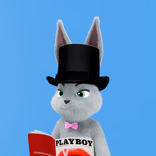 Playboyrabbitars