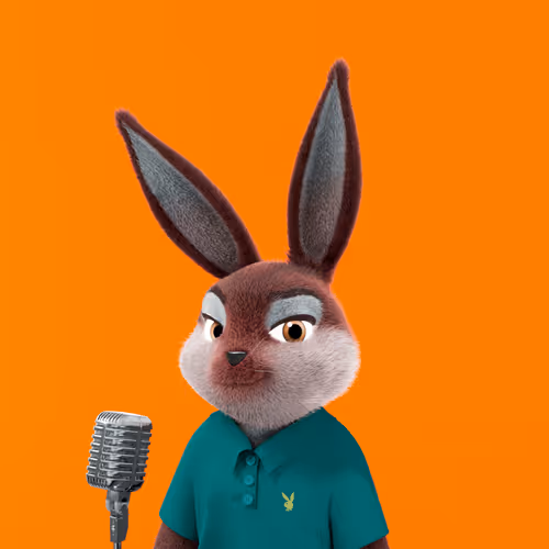 Playboyrabbitars