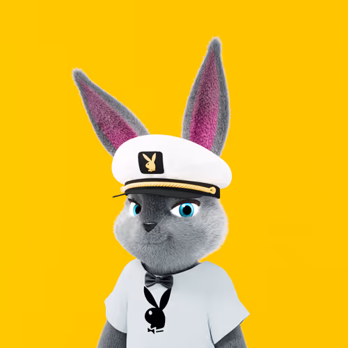 Playboyrabbitars
