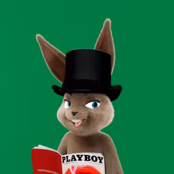 Rabbitar #8055