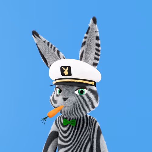 Playboyrabbitars