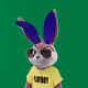 3031