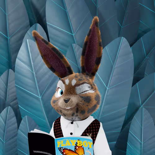 Playboyrabbitars