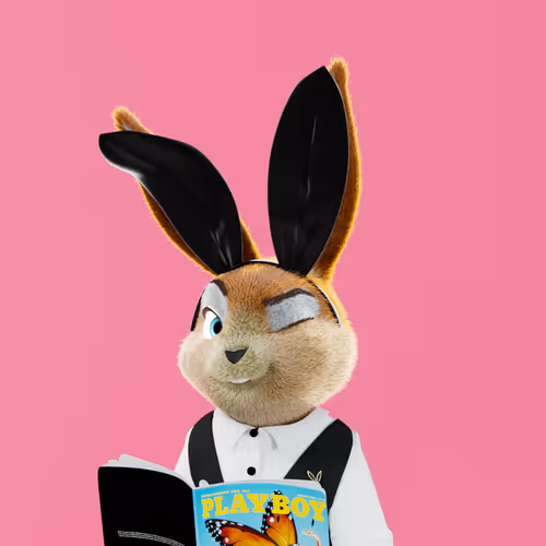 Playboyrabbitars