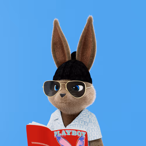 Playboyrabbitars
