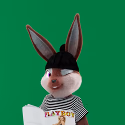 Rabbitar #3500