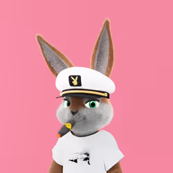 Rabbitar #3241