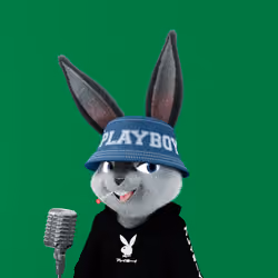 Rabbitar #11361