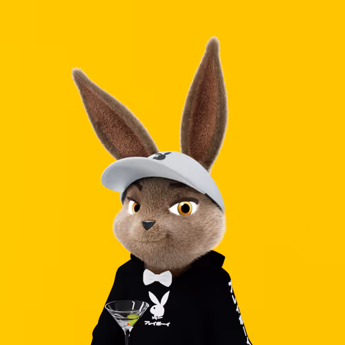 Playboyrabbitars
