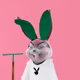 201