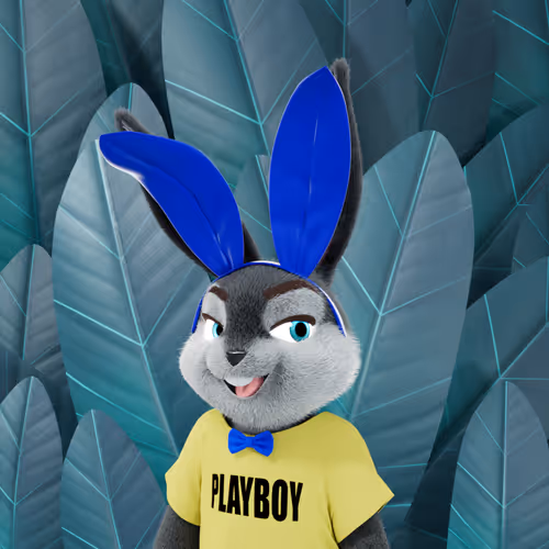 Playboyrabbitars