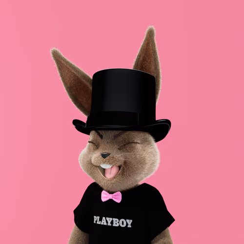 Rabbitar #9523