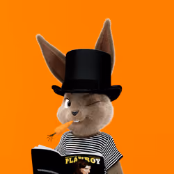 Rabbitar #8190