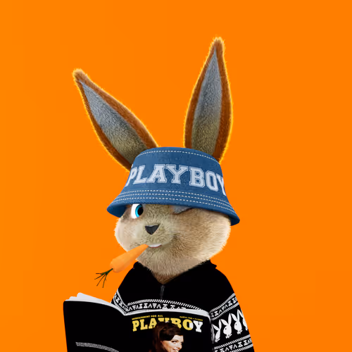 Playboyrabbitars