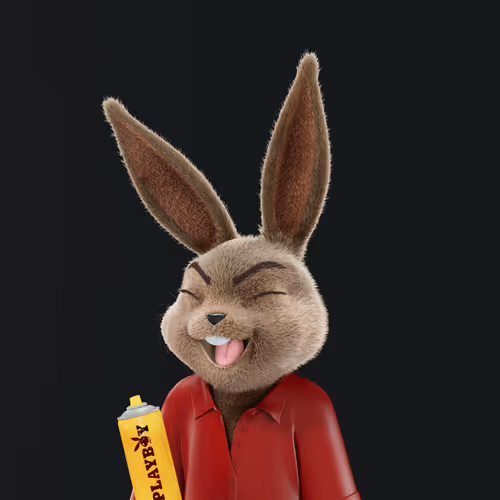 Playboyrabbitars